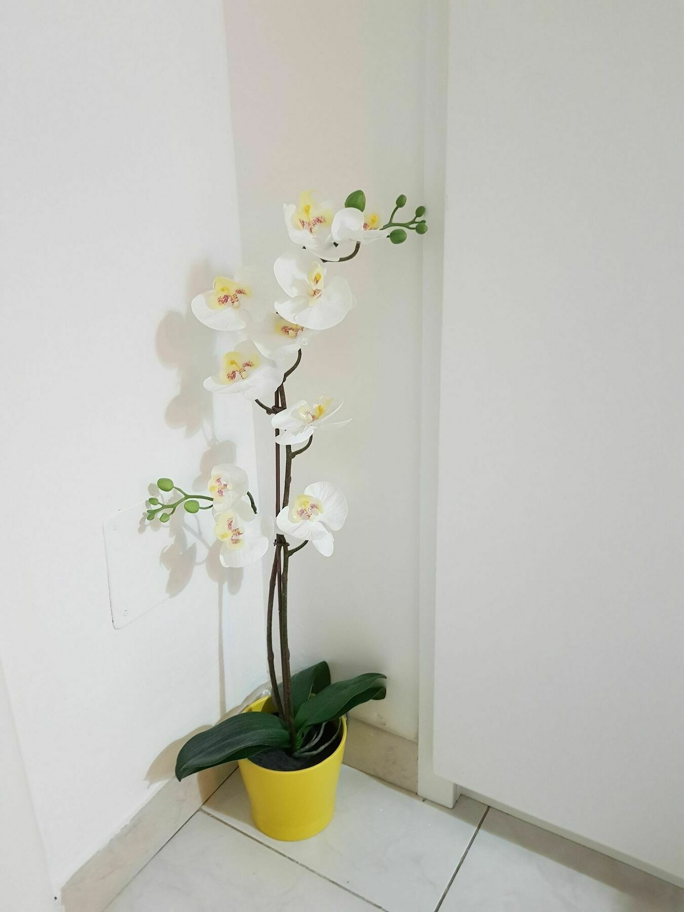 Happy Apartment Λέτσε Εξωτερικό φωτογραφία